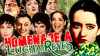 Download Homenaje a Lucha Reyes: sus éxitos en las voces de otras leyendas rancheras MP3