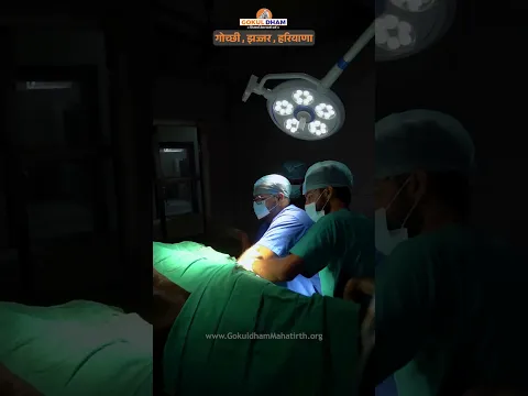 गऊमाता के पेट से निकली कीलें | कई दिनों से थी पीड़ा में #treatment #gauseva #shorts #fyp