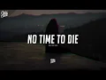Billie Eilish - No Time To Die (Lyrics)