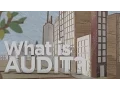 What is Audit