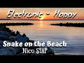 Download Lagu Snake on the Beach – Nico Staf (Dance \u0026 Electronic – Happy)