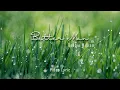 Better Man - Robbie Williams - Video Lirik (Cover by Josh Sitompul)