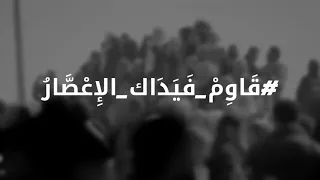 قاوم فيداك الإعصار   فريق فلاش الإبداعي دندنها