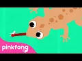 Download Lagu Cicak cicak di dinding dan lain-lain | Lagu Anak Indonesia | Pinkfong Baby Shark