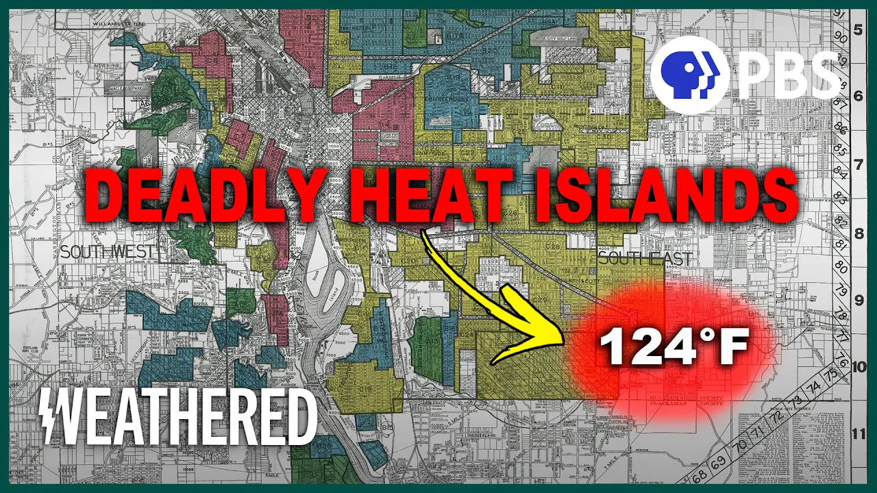 Cities are getting too hot to handle. TREES help us survive.