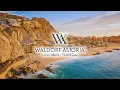 Waldorf Astoria Los Cabos Pedregal An In Depth Look Inside