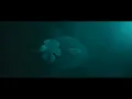 The Captain Down Below - AMBERLIND, B3nte & Behmer