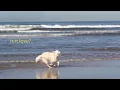 Download Lagu Holiday87 - Under The Surface (feat. Phoebe Green) [Official Music Video]