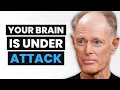 Neurologist What s Really Causing Brain Disease And How to Stop It Dr David Perlmutter