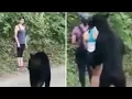 Download Lagu Messico, l’orso arriva alle spalle della ragazza: lei resta calma e scatta anche un selfie