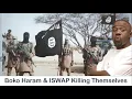 Lagu 170 Dead! Boko Haram and ISWAP Killing Themselves — Here’s Why (Educational)
