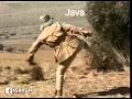 java vs c