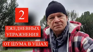 2 Простых Ежедневных Упражнения от Шума в Ушах