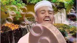 عبد المحمود نور الدايم البروق لاحت دندنها