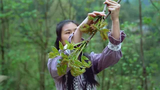 The Leaves Can Be Found Only in China - Chinese toon