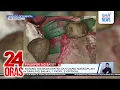Lagu 3 batang magkakapatid, duguang natagpuan sa sariling bahay; 1 patay, 2 kritikal | 24 Oras