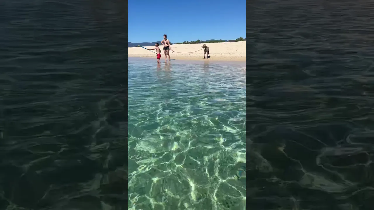 Schönster Hundestrand, Sardinien #dachzelt#reisenmithund #reisevlog #urlaubmithund #reisetipp