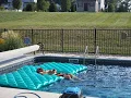 Pool SWG and Filter Update - Is It Worth It