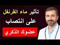 Download Lagu سر الرجولة في مطبخك: كيف يعيد القرنفل قوتك بعد الستين