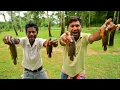 Download Lagu দেশি পাকা কৈ মাছের সুস্বাদু তেল কই রান্না করে খেলাম || Bengali tel koi || How to make tel koi