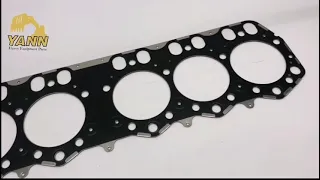                                   دندنها
