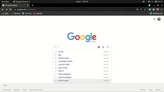 Web Scrapping bulk google images using Python Selenium