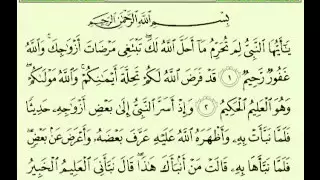 ماهر المعيقلي سورة التحريم دندنها