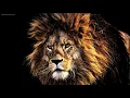 AD Music to Improve Focus and Concentration Study Music Focus Music
