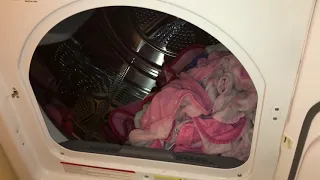 Insignia Electric Dryer 6 7cu