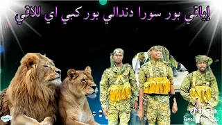 اغنيه جديده ل فنان إسماعيل قارسلبا بعنوان اياقي بور سورا دنداي اغاني تراث زغاوة 