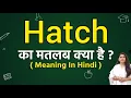 Hatch meaning in Hindi What is the meaning of Hatch Word meaning
