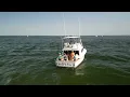 Bluefish Blitz at Sandy Hook Fluke Sea Bass Offshore Capt Craig Thumann - August 8 2026