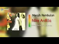 Download Lagu Meraih Rembulan - Nike Ardilla
