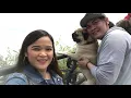 Niagara Falls w our Dog Bossir