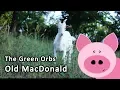 The Green Orbs - Old MacDonald - No copyright music