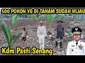Lagu POHON SUDAH HIJAU || BEKAS BANGLI SUDAH RAPI‼️KDM PASTI SENANG SAAT PULANG KE JABAR ,SEHAT2 BP AING🤲