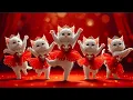 Download Lagu Dudi Dudi Dam Dam 💃💃💃 | Leukste kat die danst op Dudi Dudi Dam Dam😺 #dudidudi #dumdum #catdancing