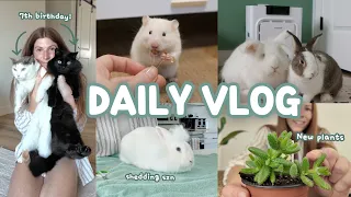 A Slow Day with my Pets 🌿🐹