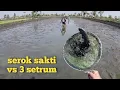 Download Lagu Mencari ikan sisa panen bersaing deng 3 nyetrum ikan