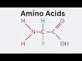 General Structure of an Amino Acid