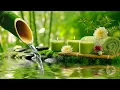 Download Lagu Soothing Music \u0026 Nature Sounds for Sleep, Meditation, Relax 🌿 Stress Relief, Relaxing Sleep Music