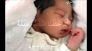  ياسر الدوسري  سورة المؤمنون  ولقد خلقنا الإنسان من سلالة من طين     دندنها