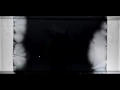 The Evolution of Bacteria on a Mega-Plate Petri Dish Kishony Lab