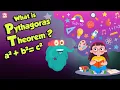 Download Lagu What Is Pythagoras Theorem? | PYTHAGORAS THEOREM | The Dr Binocs Show | Peekaboo Kidz