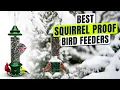 3 BEST Squirrel Proof Bird Feeders - Keep Your Birds Fed Not the Squirrels