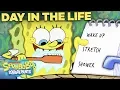 Download Lagu An Entire Day with SpongeBob, Hour by Hour! ☀️ A Day in the Life