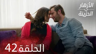 الأزهار الحزينة الحلقة 42 كاملة Kırgın Çiçekler 