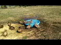 Urban Farm Project - DUCK body language