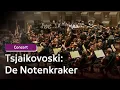 Lagu Tsjaikovski - De Notenkraker | Concert