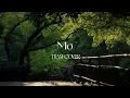 Download Lagu Mơ, Giấc Mơ Trưa, Từng Là, Có Em Chờ, Dấu Mưa - Những Bản Hits Nhẹ Nhàng Cực Chill Thư Giãn [COVER]